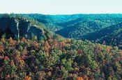 175px-Ecoregions of Kentucky Western Allegheny Plateau 1.JPG