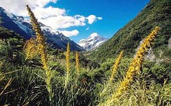 250px-Aa1003 mt cook nz.jpg