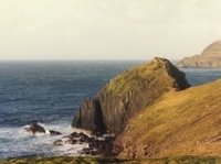 200px-LMEpatagonian2.JPG