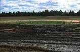 158px-Flooded gleysolic landscape.jpg