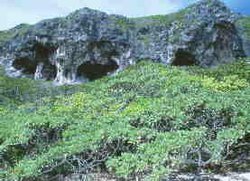 250px-Henderson island.jpg