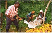 200px-Cocoa farmers.JPG