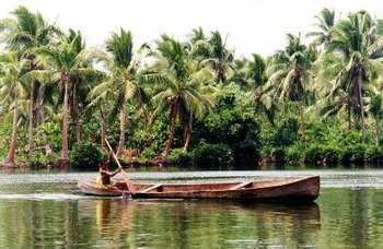 350px-Dugout canoe Rennell.jpg