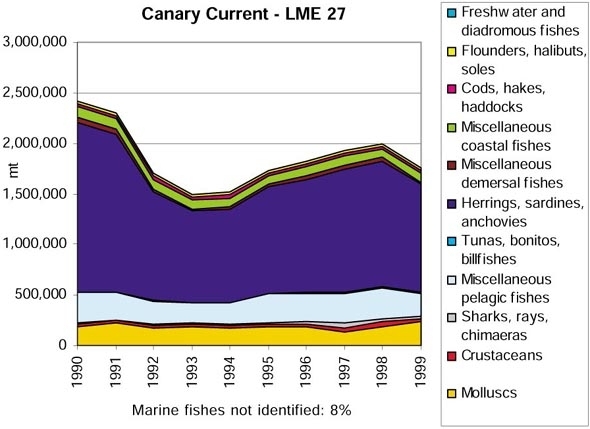 Canarycurrent.jpg