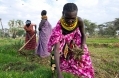 Farmers-Kenya-Women WorldFoodProg.jpg