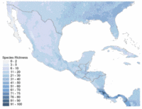 200px-Amphibian diversity in mesoamerica.gif