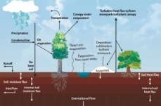 Global Climate System Models