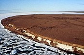 174px-Arctic Coastal Tundra 3.jpg