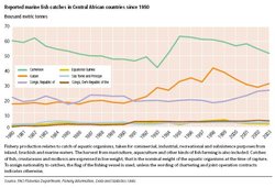 250px-Reported fish catches Central Africa.JPG