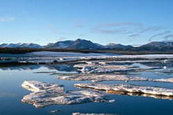 249px-Baffin Coastal Tundra 1.jpg