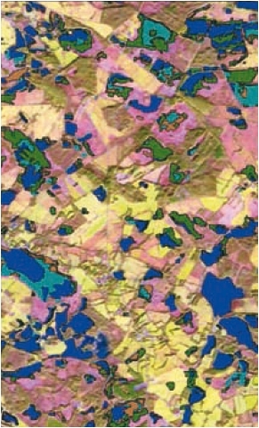 EO Wetland delination Figure 4.PNG.jpeg