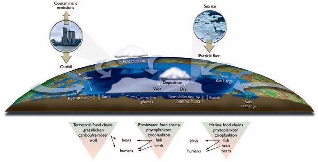 620px-Figure8.21 contaminant pathways.JPG