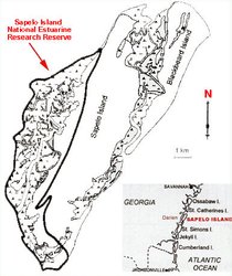 250px-Sapelo Island map.jpg