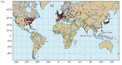 Nuclear power plants 1.jpg