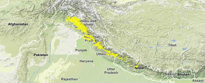 Western-himalayan-broadleaf-forests.png