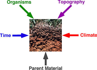 400px-Soil pedogenesis factors.jpg