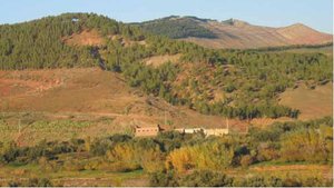 300px-Plantations N Africa.JPG