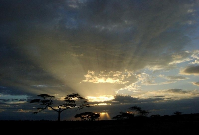 Serengeti-sunset-tanzania.jpg