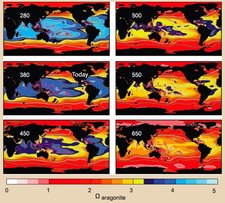 225px-Forecasted aragonite levels.jpeg