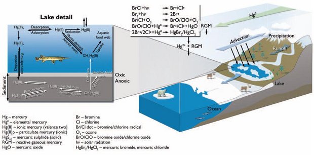 620px-Figure8.24 production of mercury.JPG