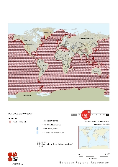 Distribution of fin whale.png.jpeg