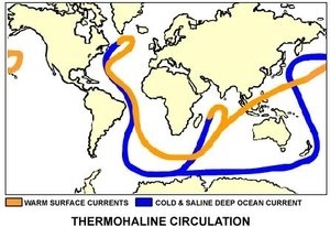 300px-Ch19thermohalinecirculation.JPG.jpeg