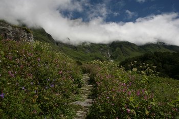 350px-Valleyofflowers.jpg