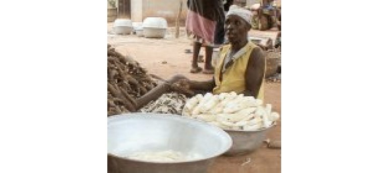 Peeling cassava Flickr Luciano Ghersi.jpg