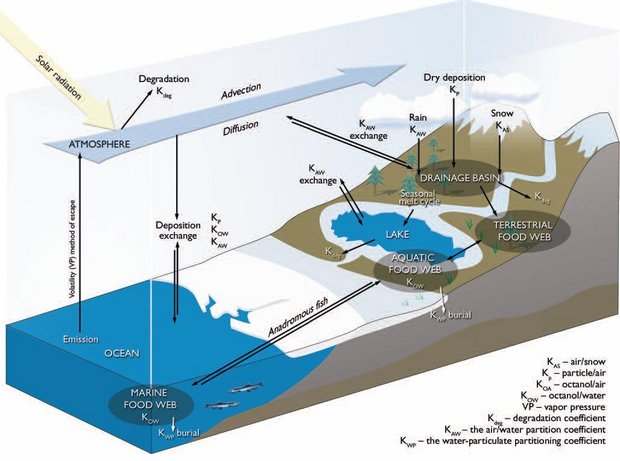 620px-Figure8.22 transporting pops arctic.JPG