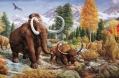 Copy of Pleistocene 2.jpg