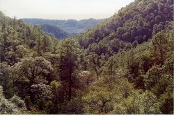 250px-Copper canyon.jpg