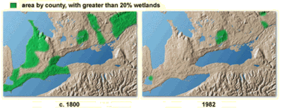 400px-Habitatdestruction.gif