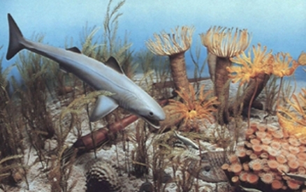Content Cover Image