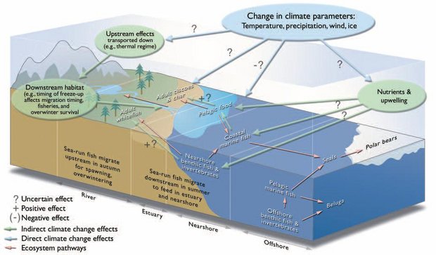 620px-Figure8.16 direct climate effects fish.JPG