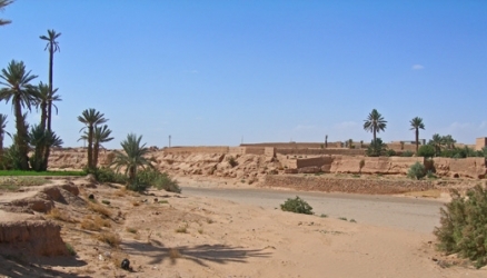 Content Cover Image
