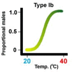 150px-Turtletemp1b.gif