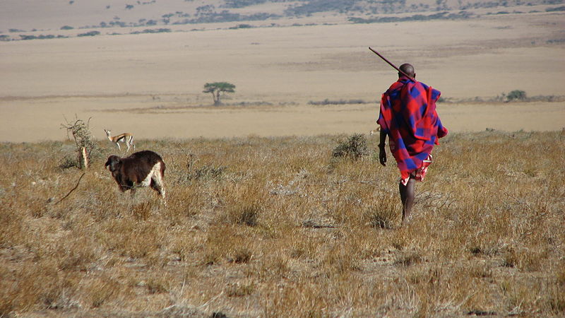 800px-maasai-man--eastern-serengeti--october-2006.jpg