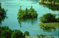 250px-Stlaw3.gif