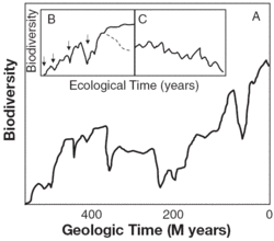 250px-Trends in marine biodiversity.gif