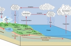 Hydrologic cycle