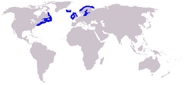 620px-Distribution of the grey seal.png