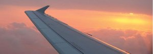 300px-GEO4 ch 9 airplane wing.jpg