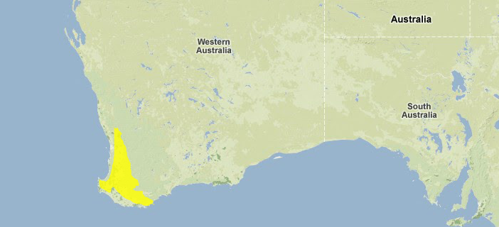 Southwest-australia-woodlands.png