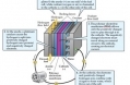 Hydrogen as Fuel