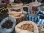 Non-timber-forest-products 44x33 crop.JPG