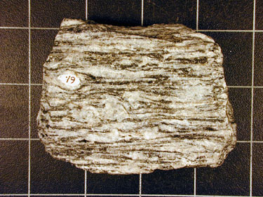 Gneiss.jpg