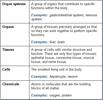 Organs-fig-2.gif