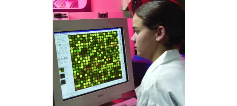 CompTox Microarray2 NIH NIEHS.jpg