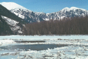 174px-Winter2.gif