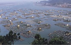 250px-GEO4 ch 4 fish farms.jpg